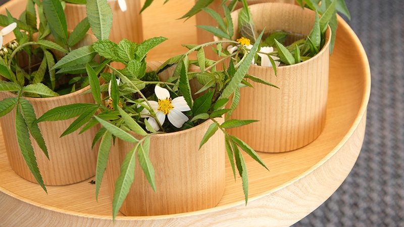 CN Flower的生活美學，每一杯用剛採收花草泡的水，就像端到眼前的小花園。楊煥世攝影