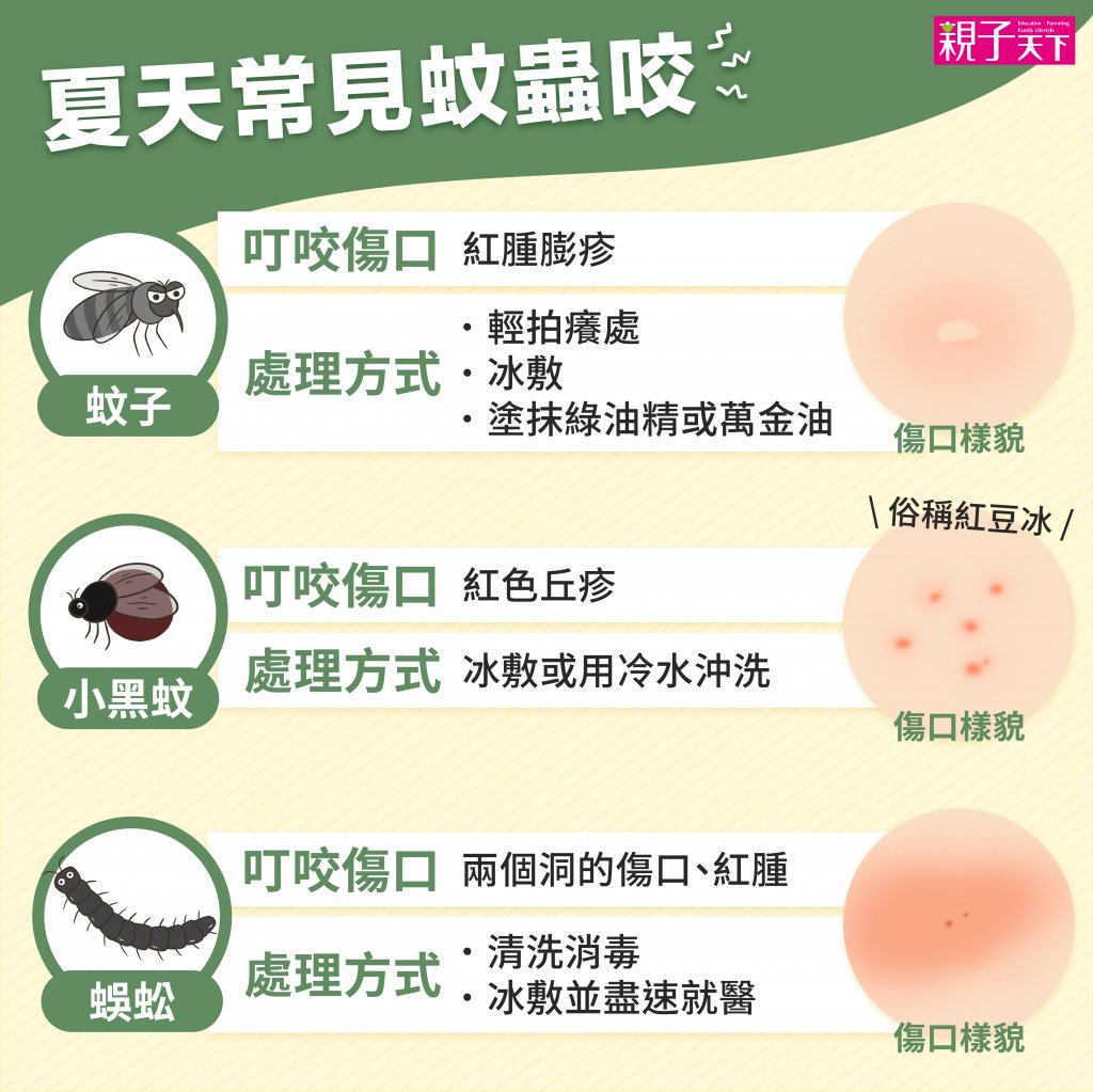 被咬紅腫不是蚊子叮？10種常見蟲咬症狀與處理懶人包